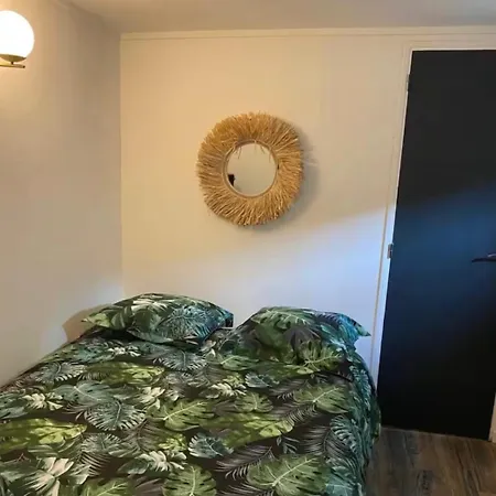 דירה Cosy מץ